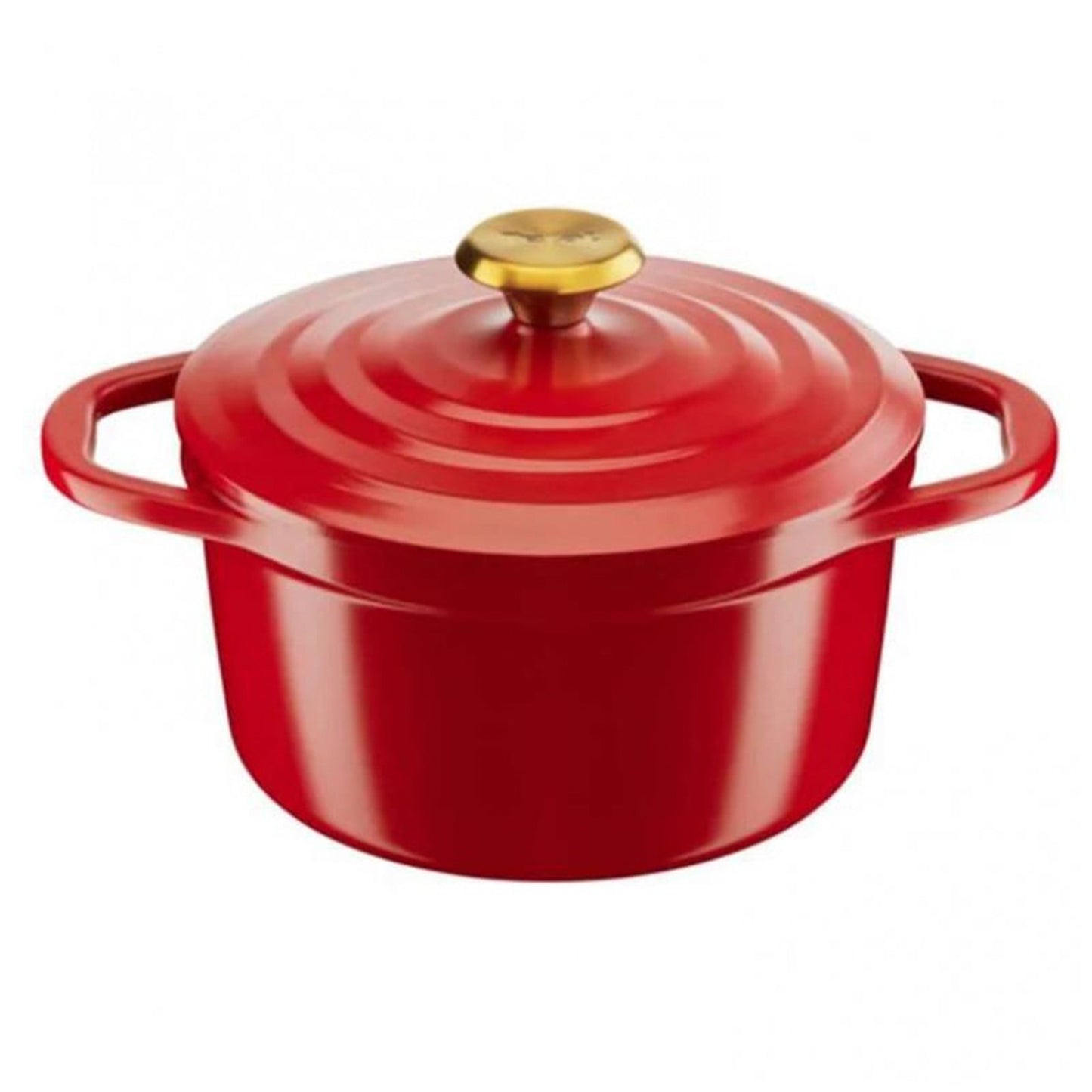 Tefal air cast aluminium stewpot 20cm+lid (TFE2544455)