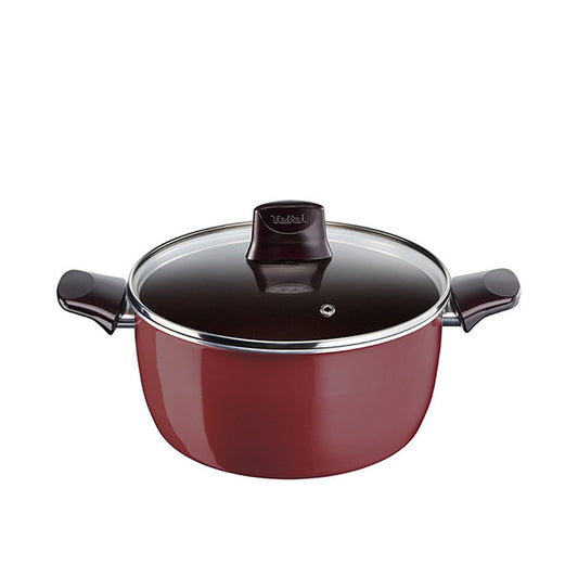 Tefal Pleasure Stewpan with Lid 22cm TFD5024562